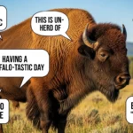 bison puns