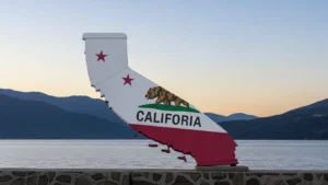 Read more about the article 295+ Best California Puns That Are Golden Enough to Make You Say Cali for niaaa!