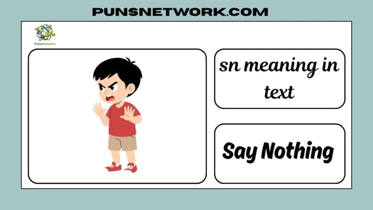 sn meaning in text