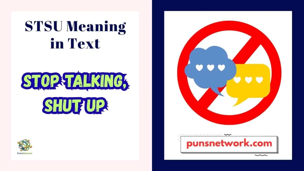 STSU Meaning in Text