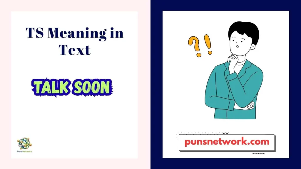 TS Meaning in Text