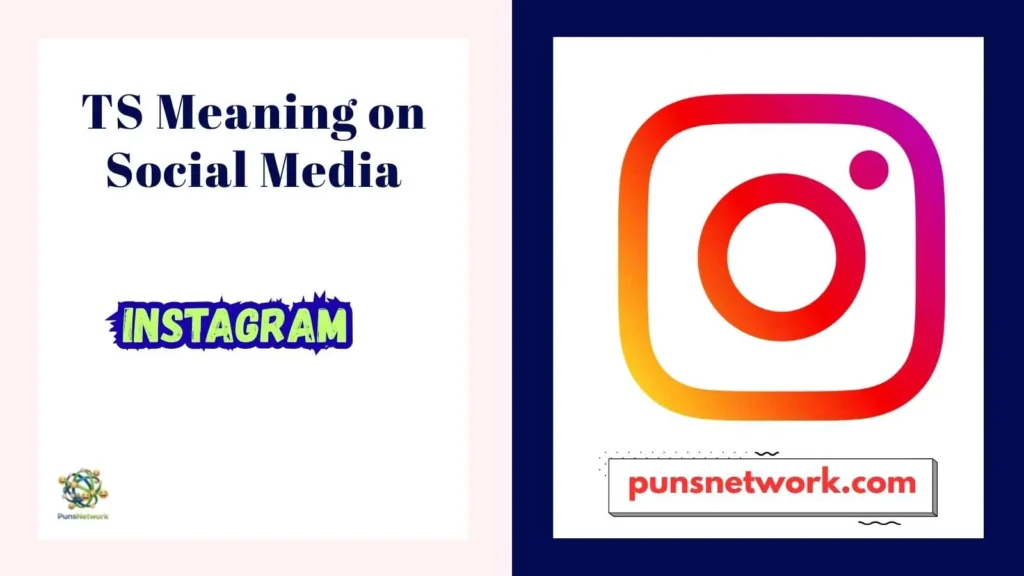 TS Meaning on Social Media